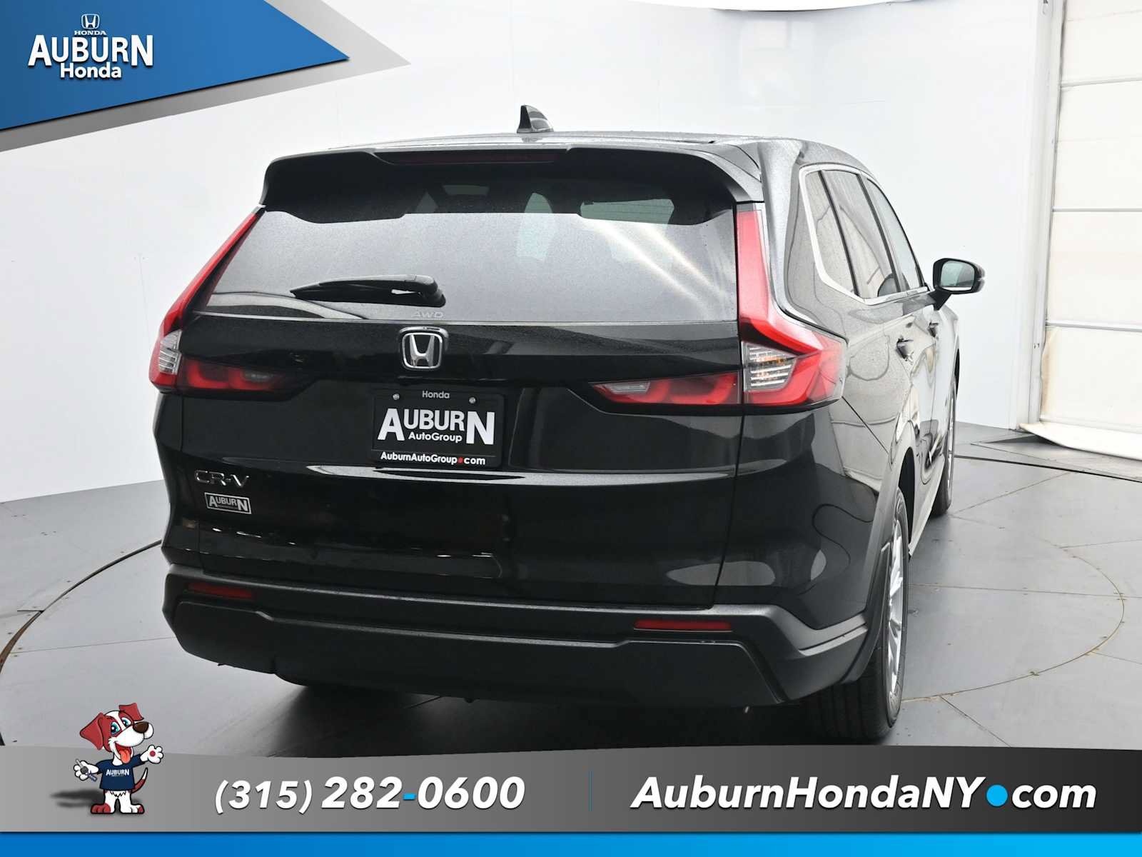 Used 2024 Honda CR-V EX image 4