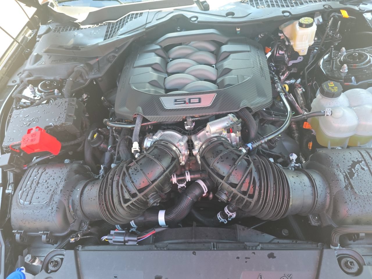 Used 2025 Ford Mustang GT RWD image 9