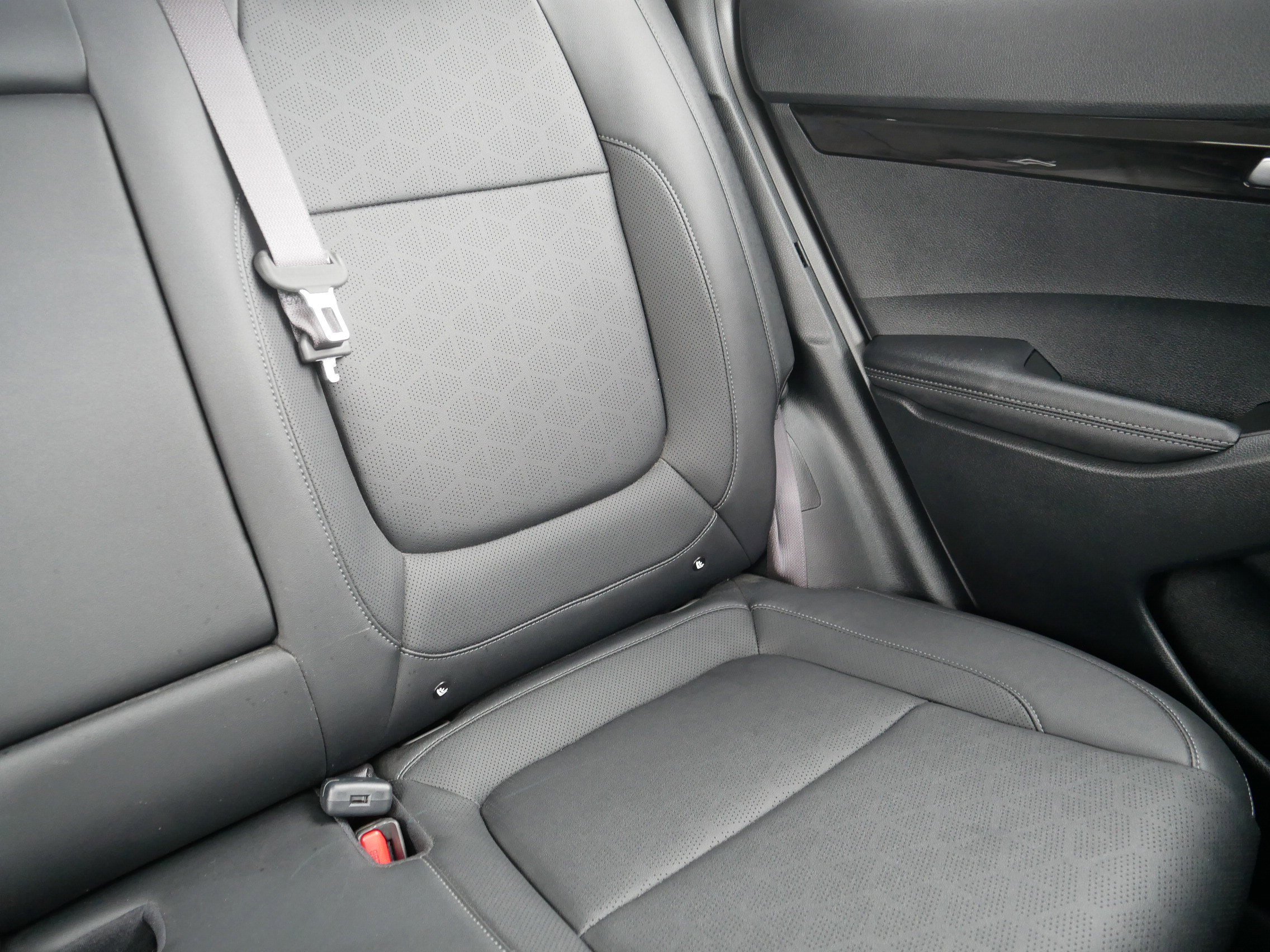 Used 2024 Kia Seltos EX AWD/4WD image 14
