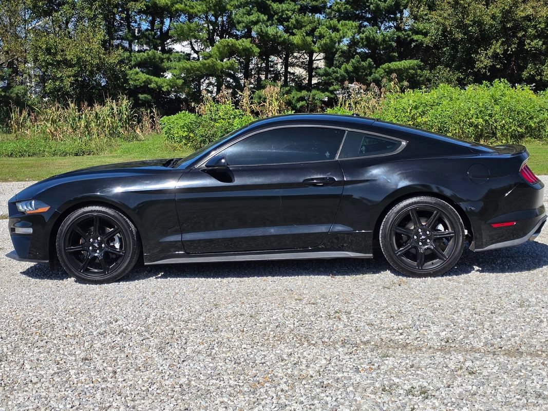 Used 2019 Ford Mustang Coupe w/ Ford Safe & Smart Package RWD image 2