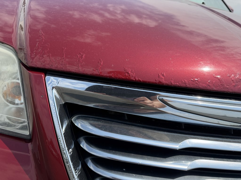 Used 2012 Chrysler Town & Country Touring w/ Entertainment Group #1 FWD image 7