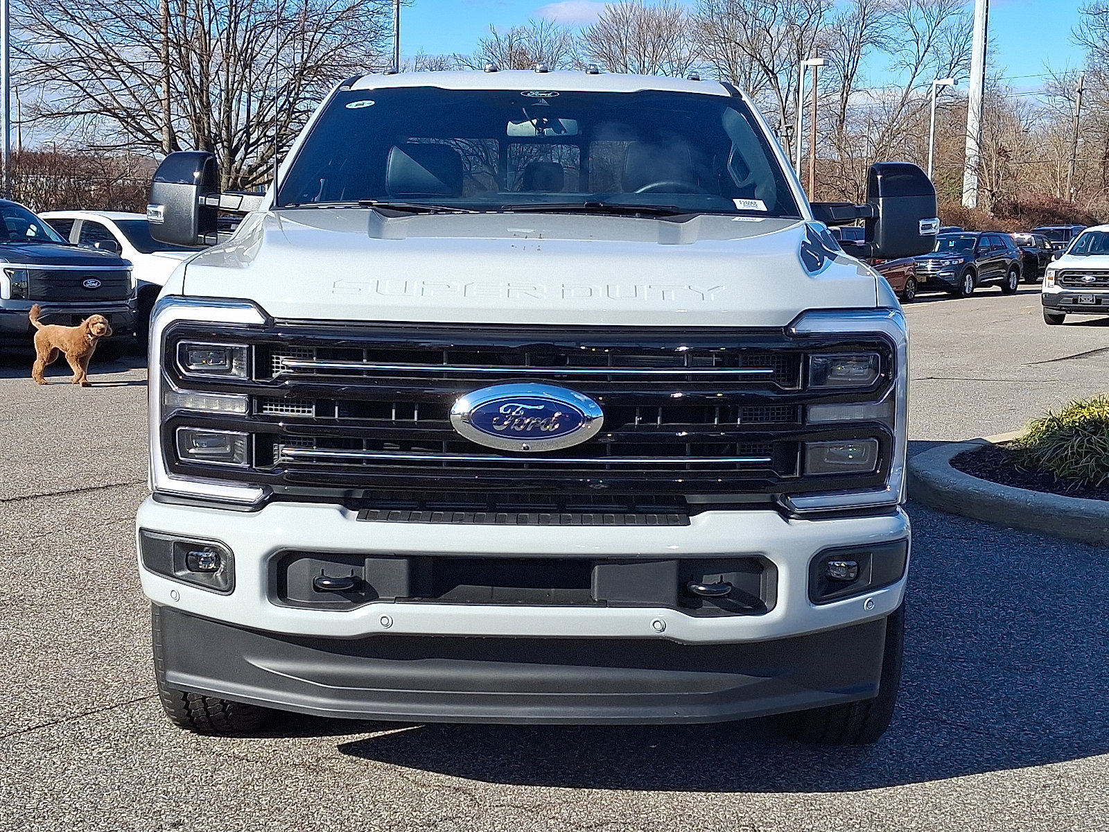 New 2026 Ford F350 Platinum AWD/4WD image 2