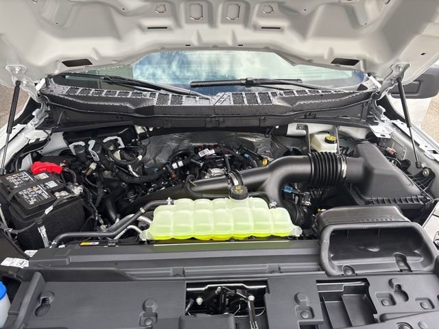 New 2026 Ford F150 XL image 2