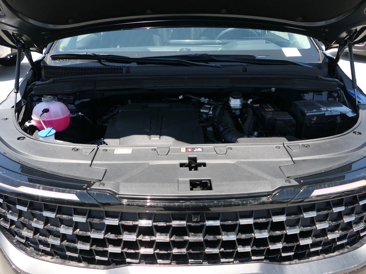 New 2026 Kia Carnival SX Prestige image 28