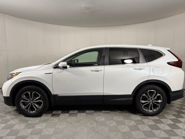 Used 2020 Honda CR-V EX-L image 3