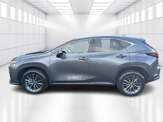Certified 2023 Lexus NX 250 AWD image 8