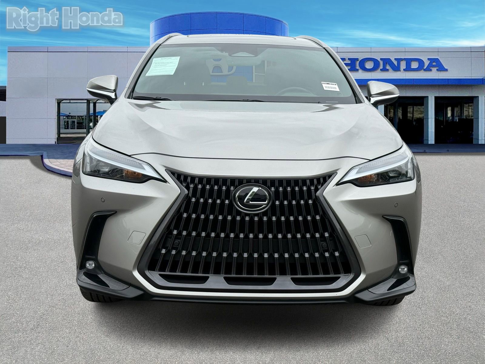 Used 2023 Lexus NX 350 AWD image 5