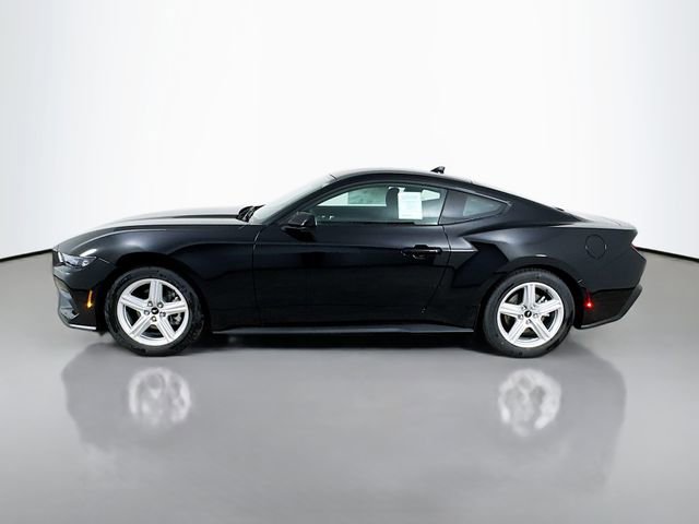 New 2026 Ford Mustang Coupe image 4