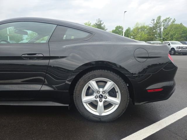 Used 2015 Ford Mustang Coupe w/ Enhanced Security Package RWD image 12
