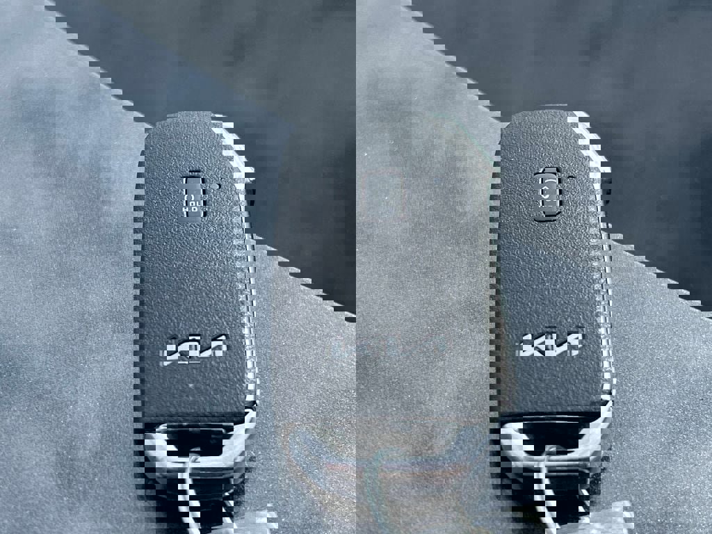 Used 2022 Kia Telluride SX w/ SX Prestige Package image 11