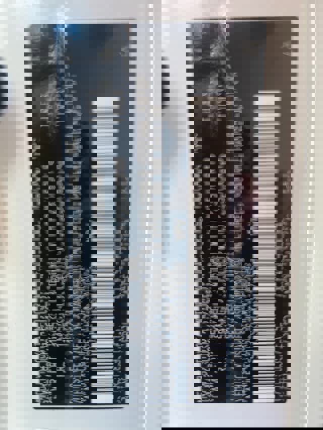 Used 2025 Toyota Sienna XLE w/ XLE Plus Package image 17