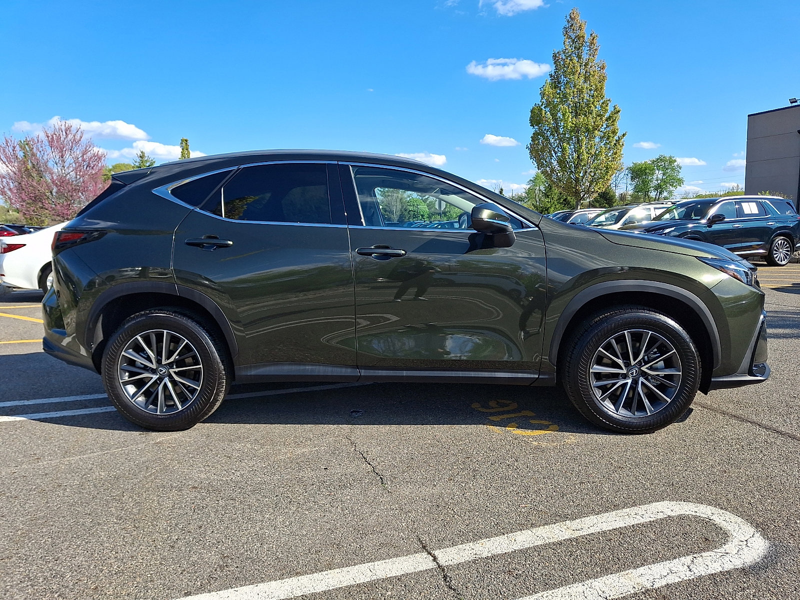 Used 2025 Lexus NX 350 AWD w/ Cold Area Package image 7