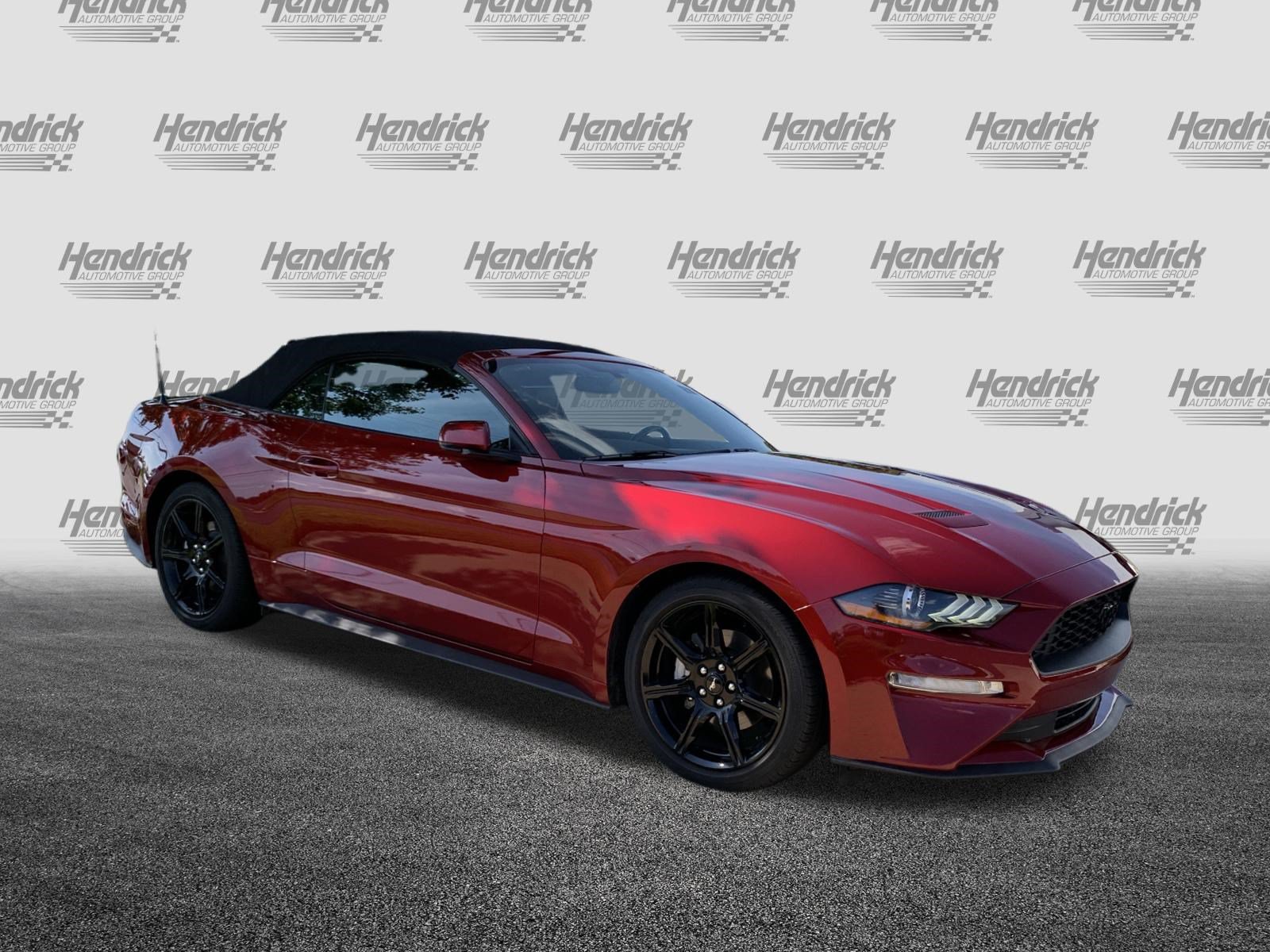 Used 2019 Ford Mustang Premium w/ Equipment Group 201A RWD image 2