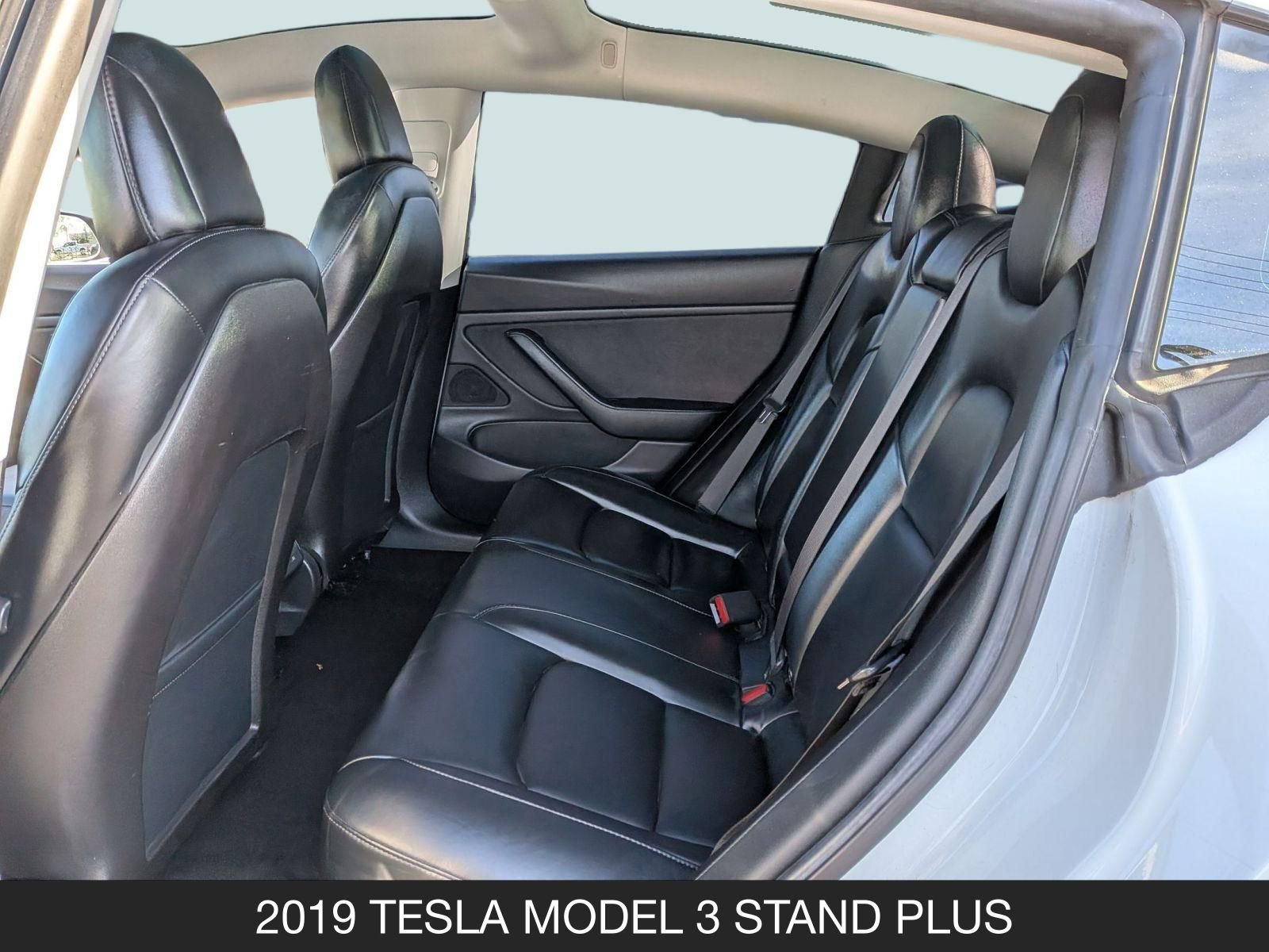 Used 2019 Tesla Model 3 Standard Range Plus image 16