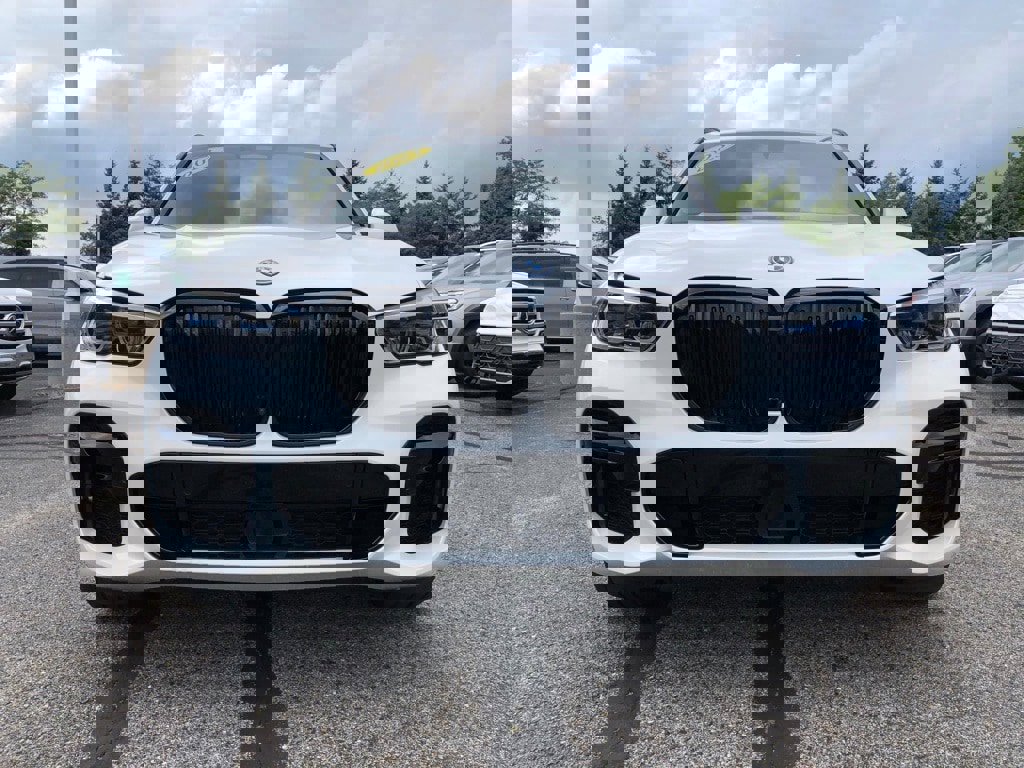 Used 2023 BMW X5 xDrive45e w/ Executive Package image 2