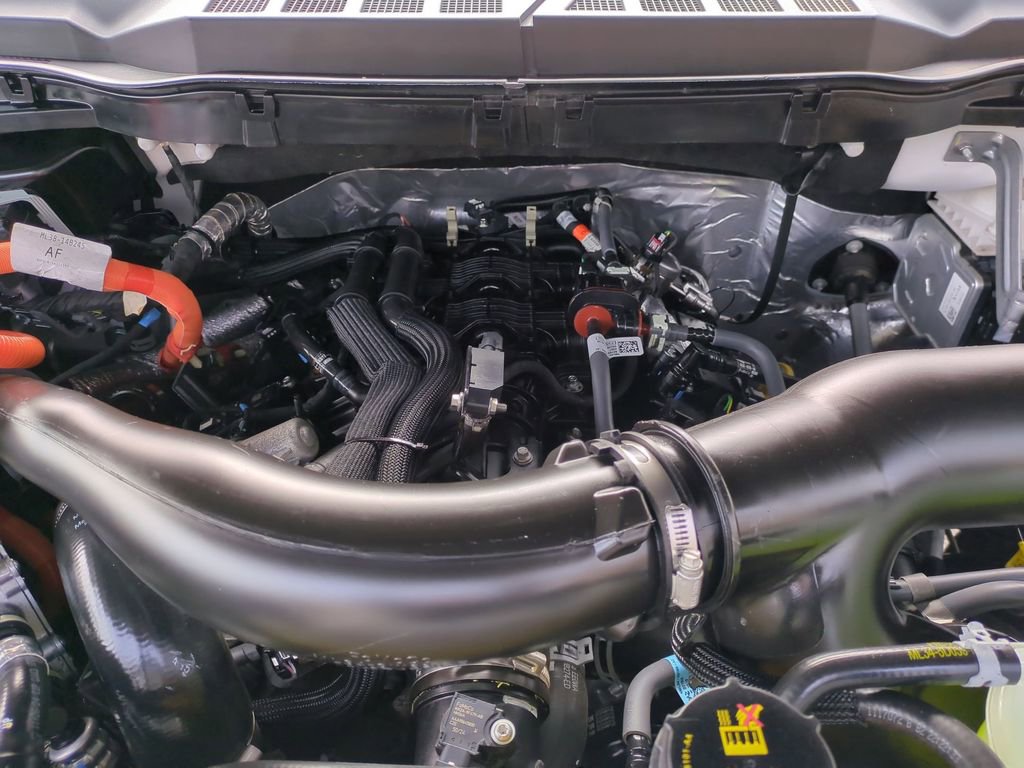 Used 2025 Ford F150 XLT w/ Equipment Group 301A Standard image 22