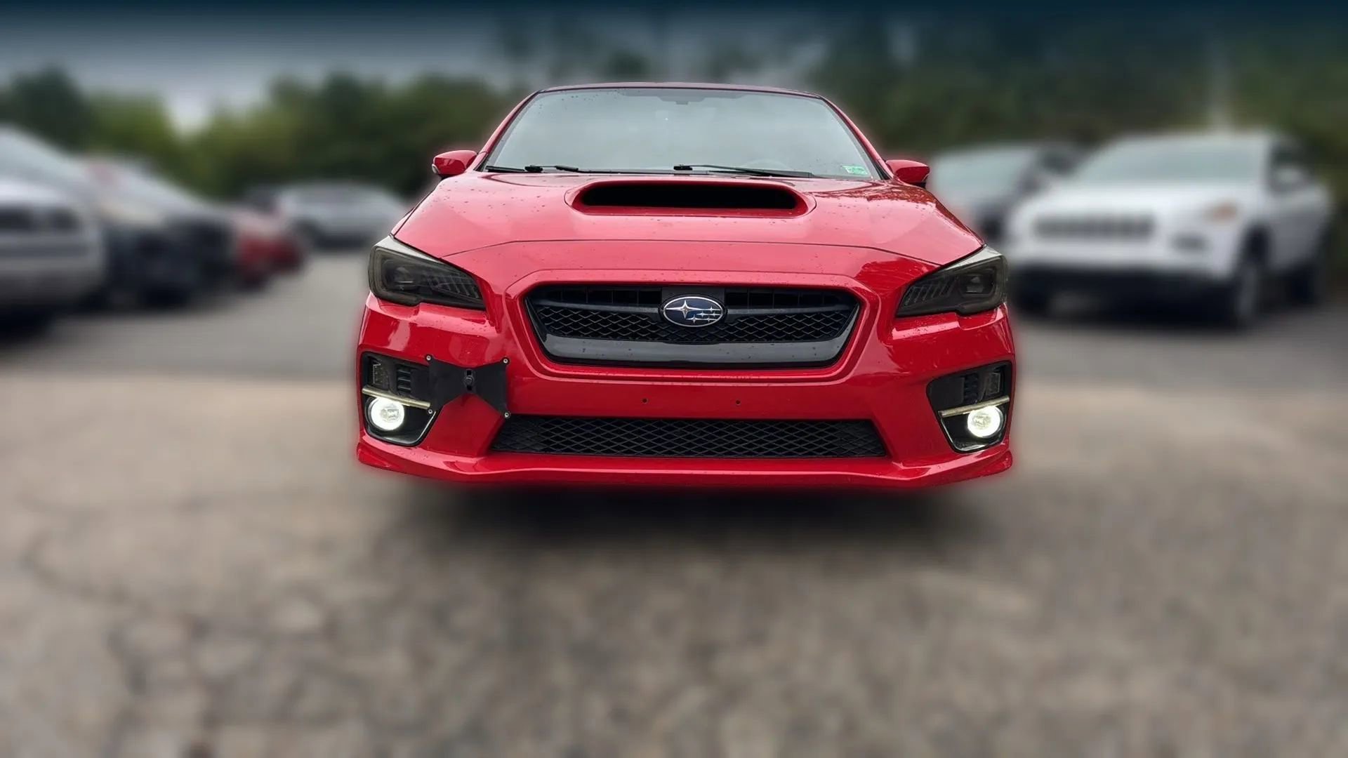 Used 2017 Subaru WRX Limited image 2