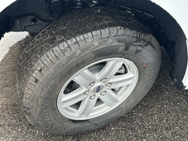 New 2025 Ford F150 XL w/ Equipment Group 103A High image 14