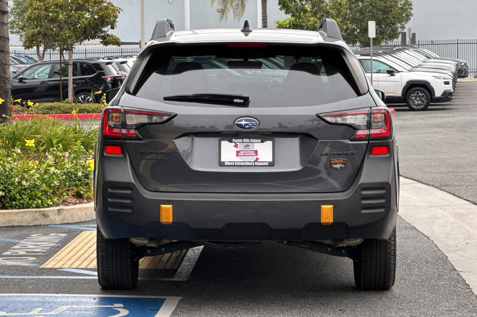 Certified 2023 Subaru Outback Wilderness AWD/4WD image 5