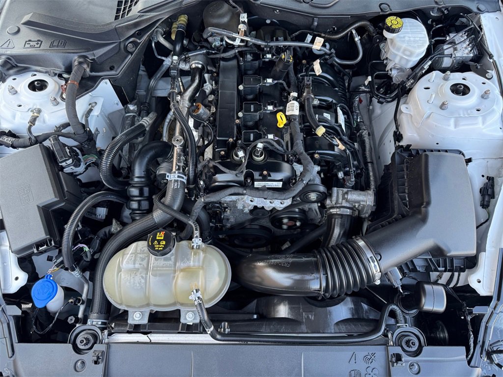 Used 2021 Ford Mustang Premium image 9