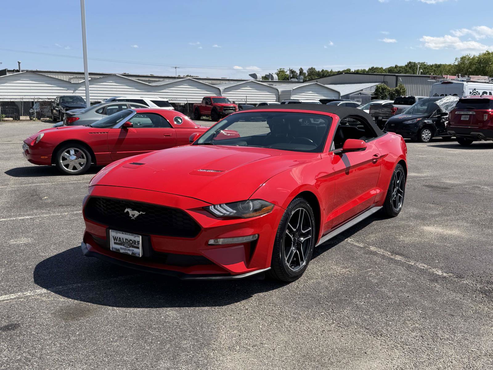 Used 2020 Ford Mustang Premium RWD image 5