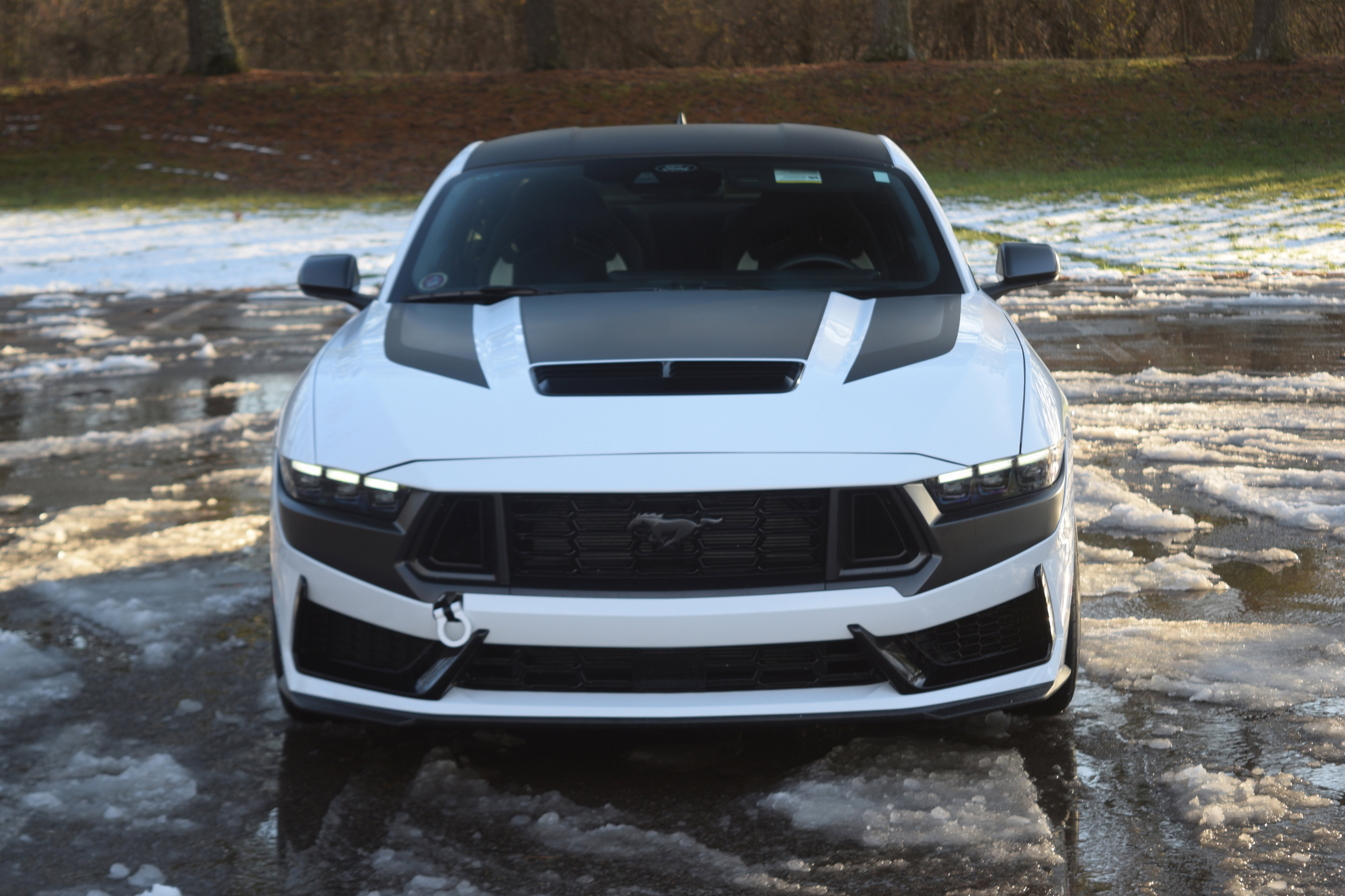 Used 2024 Ford Mustang Dark Horse image 19