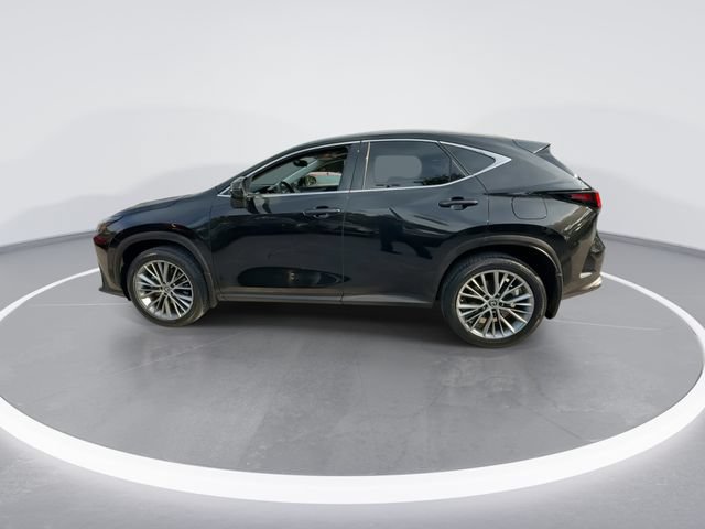 Certified 2023 Lexus NX 350h AWD image 5