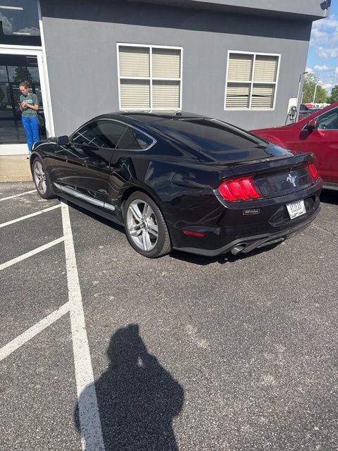 Used 2019 Ford Mustang Premium w/ Equipment Group 201A RWD image 8