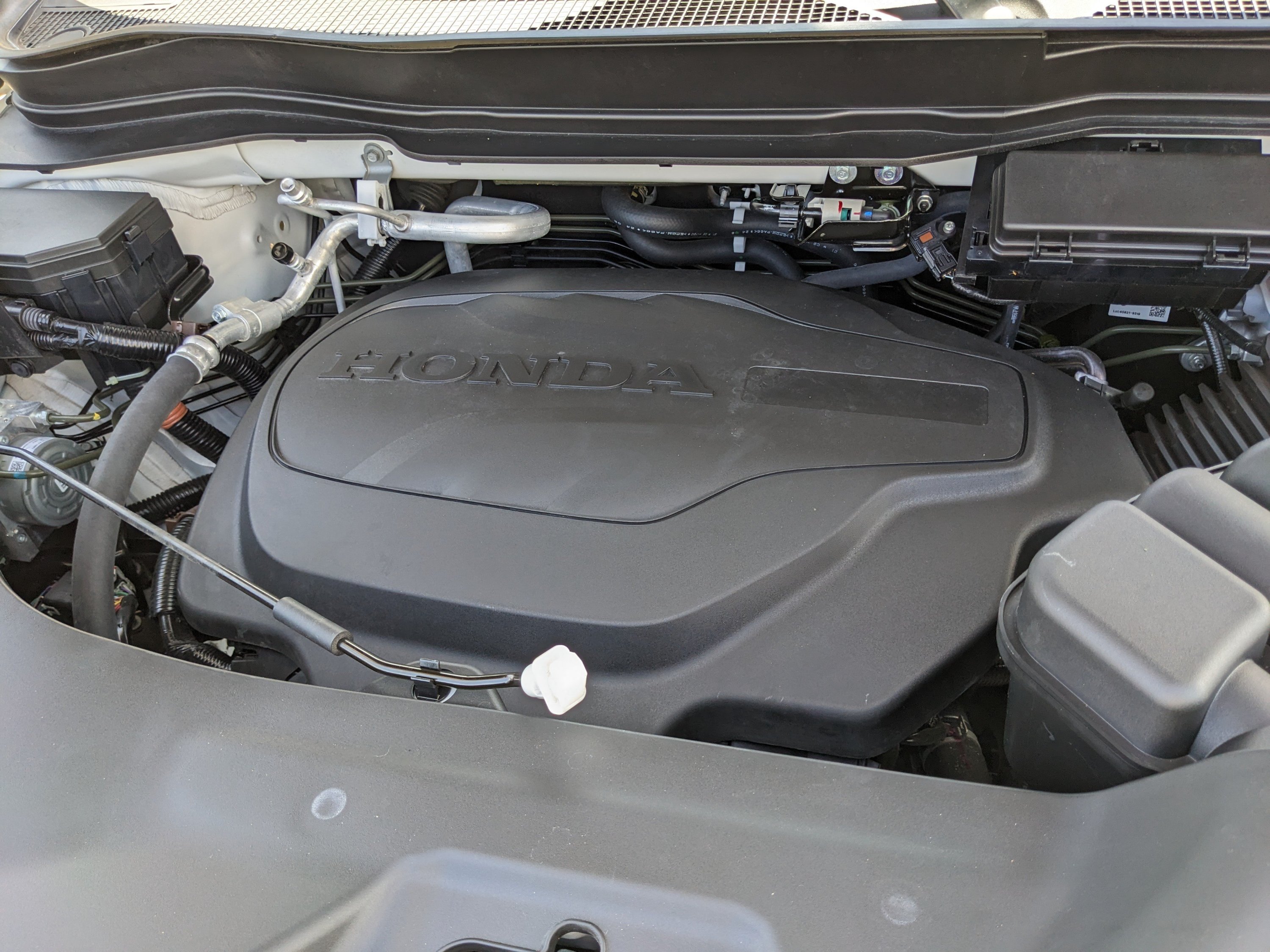 Used 2025 Honda Passport EX-L image 10