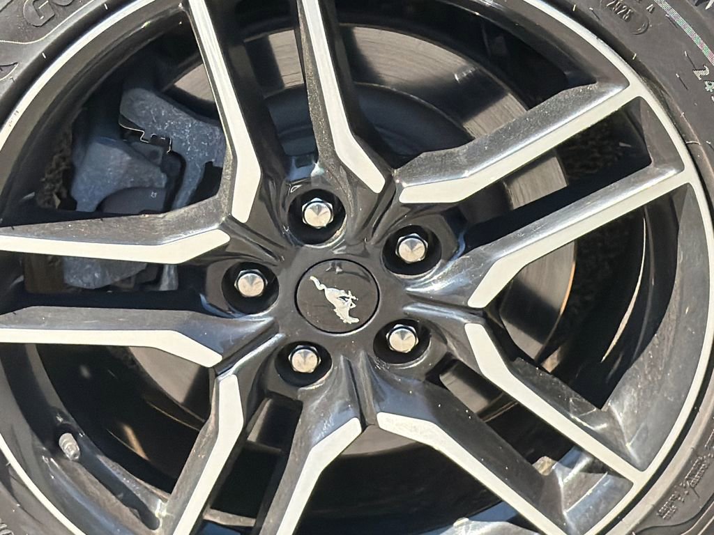 Used 2021 Ford Mustang GT w/ Equipment Group 301A image 6