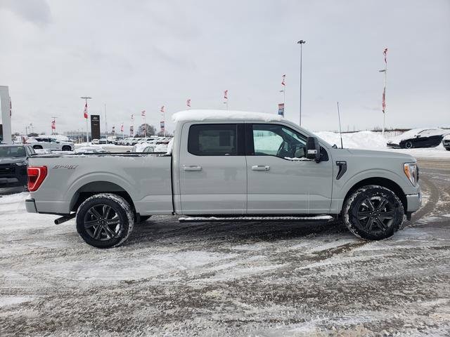 Used 2023 Ford F150 XLT w/ Equipment Group 302A High image 4