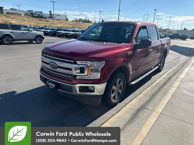 Used 2019 Ford F150 XLT w/ Equipment Group 302A Luxury RWD image 3