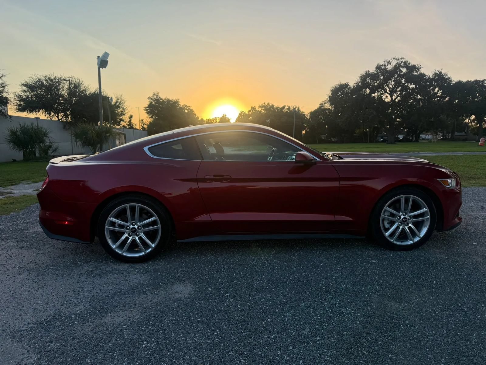 Used 2016 Ford Mustang Premium w/ Equipment Group 201A RWD image 4