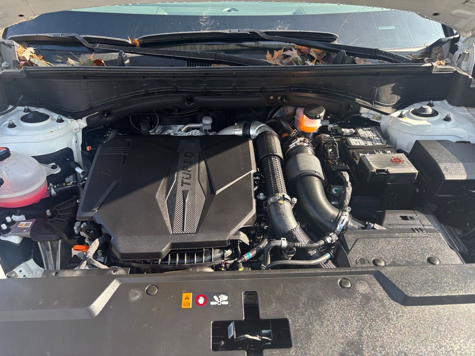 Used 2025 Hyundai Santa Fe SEL image 30