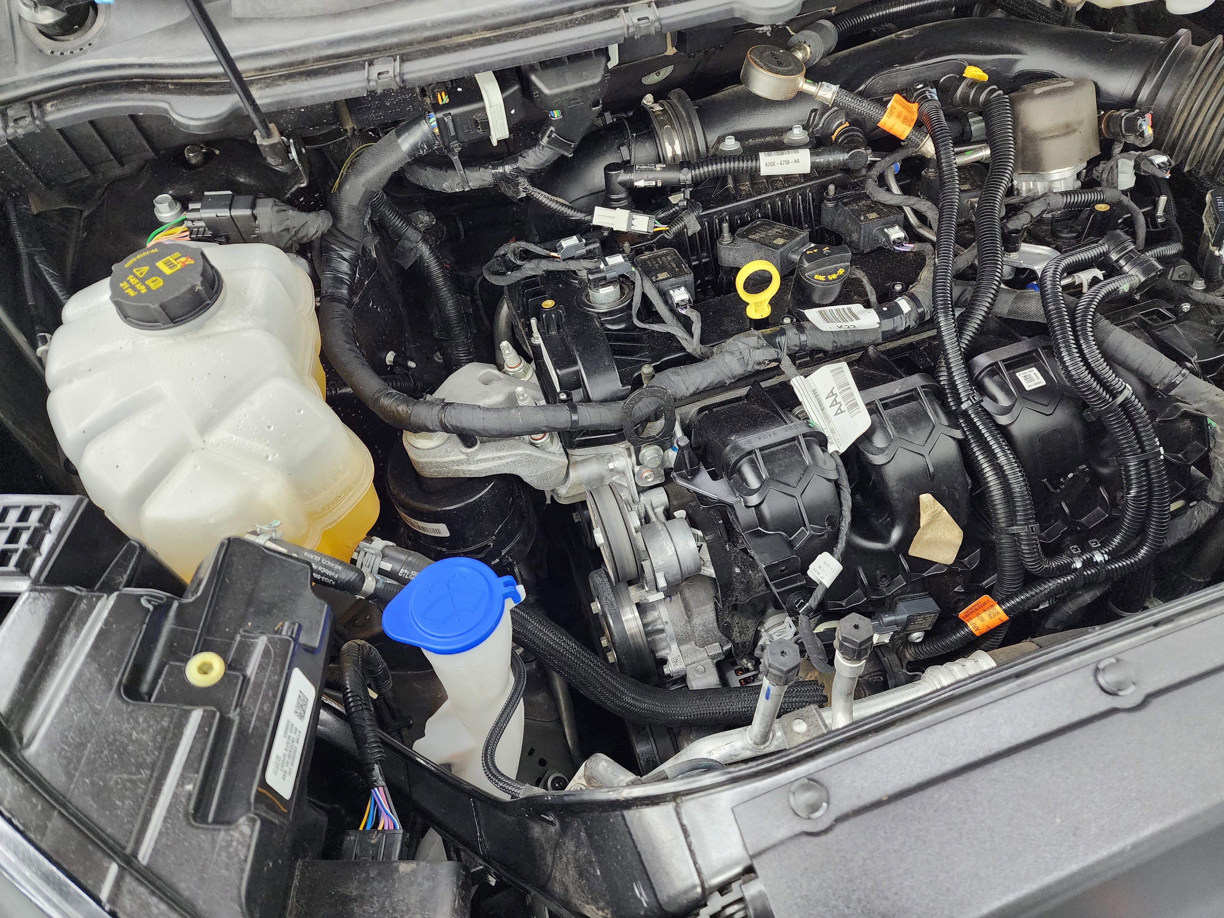 Used 2024 Ford Edge SEL image 19