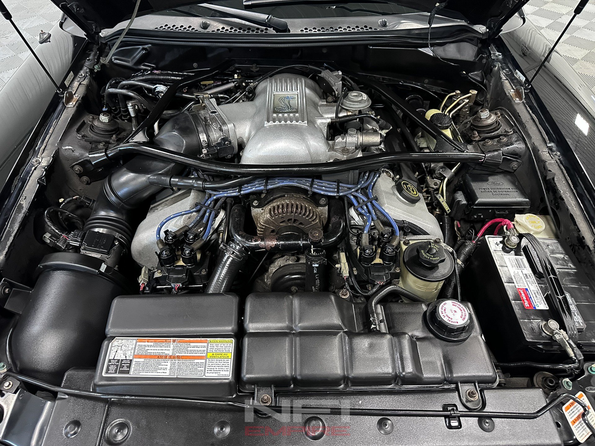 Used 1996 Ford Mustang Cobra RWD image 42