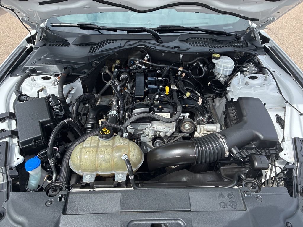 Used 2021 Ford Mustang Coupe w/ Equipment Group 101A RWD image 23