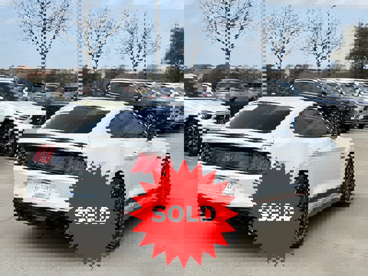 Used 2022 Ford Mustang Mach 1 image 7