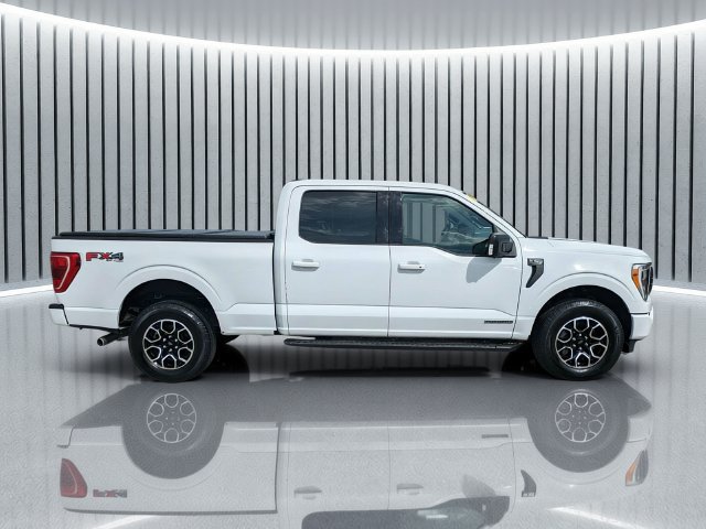 Used 2023 Ford F150 XLT w/ Equipment Group 302A High AWD/4WD image 3