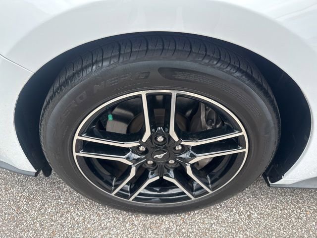 Used 2019 Ford Mustang GT Premium RWD image 12