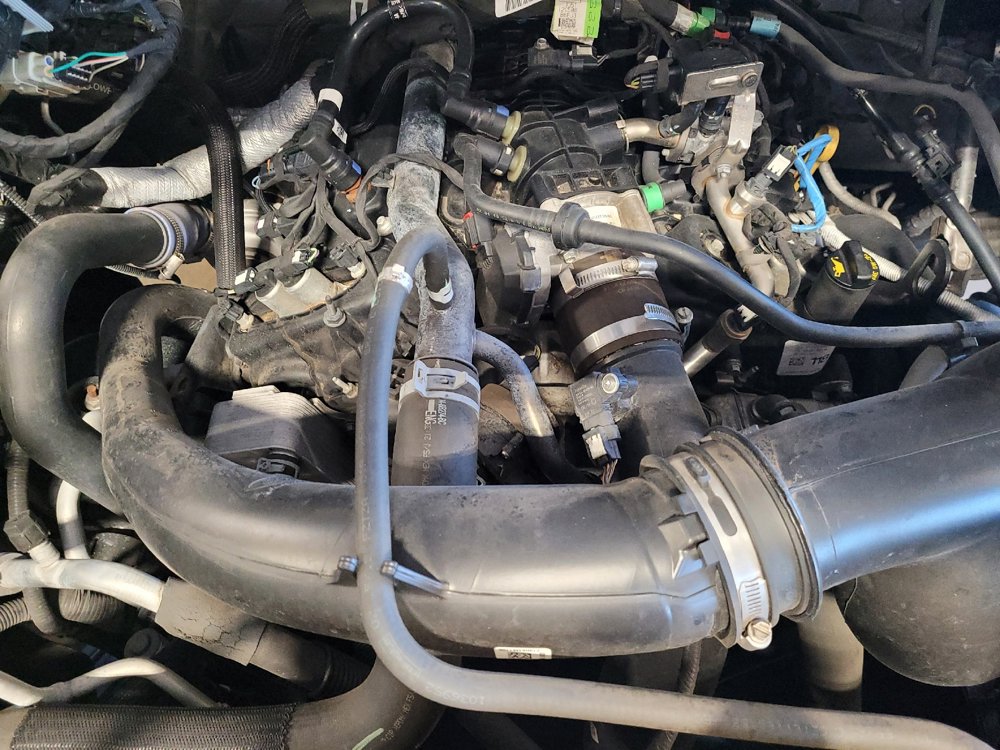 Used 2019 Ford F150 XL w/ Equipment Group 101A Mid image 30