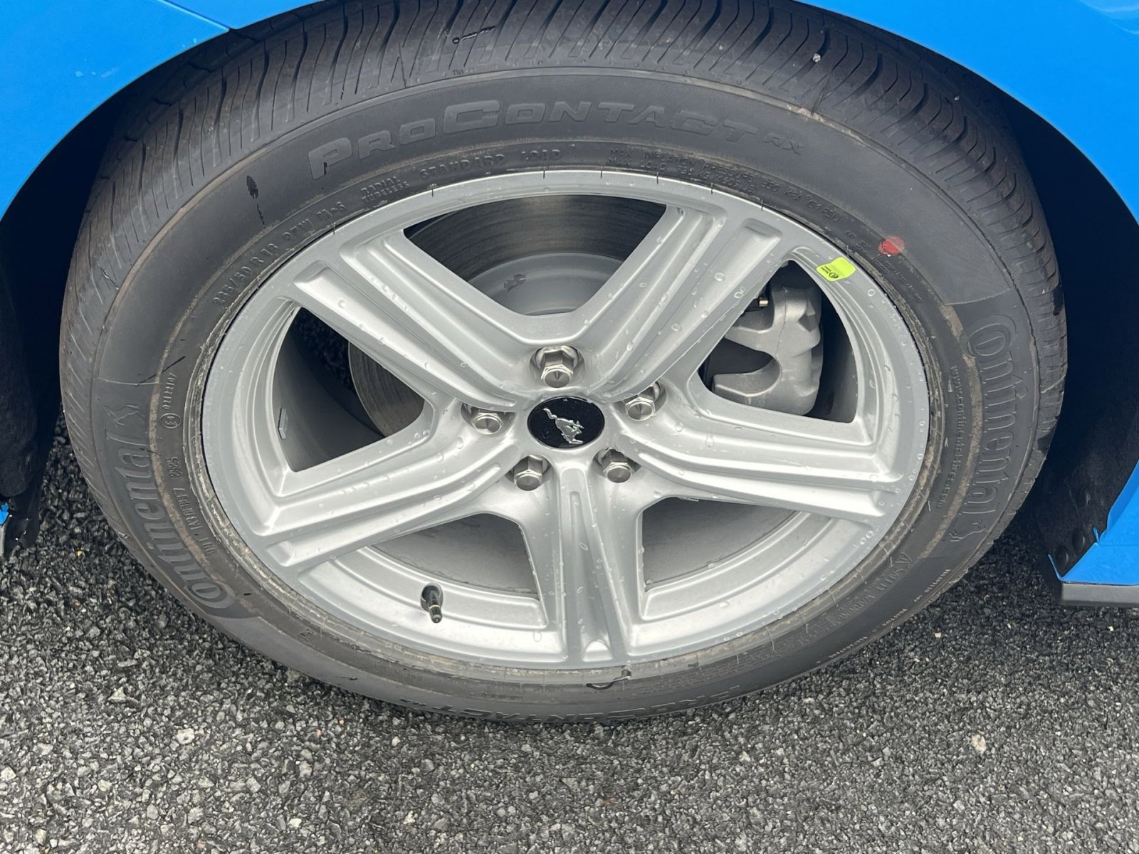 New 2026 Ford Mustang Coupe image 12