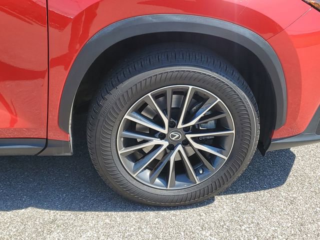 Used 2023 Lexus NX 250 FWD w/ Cold Area Package image 6