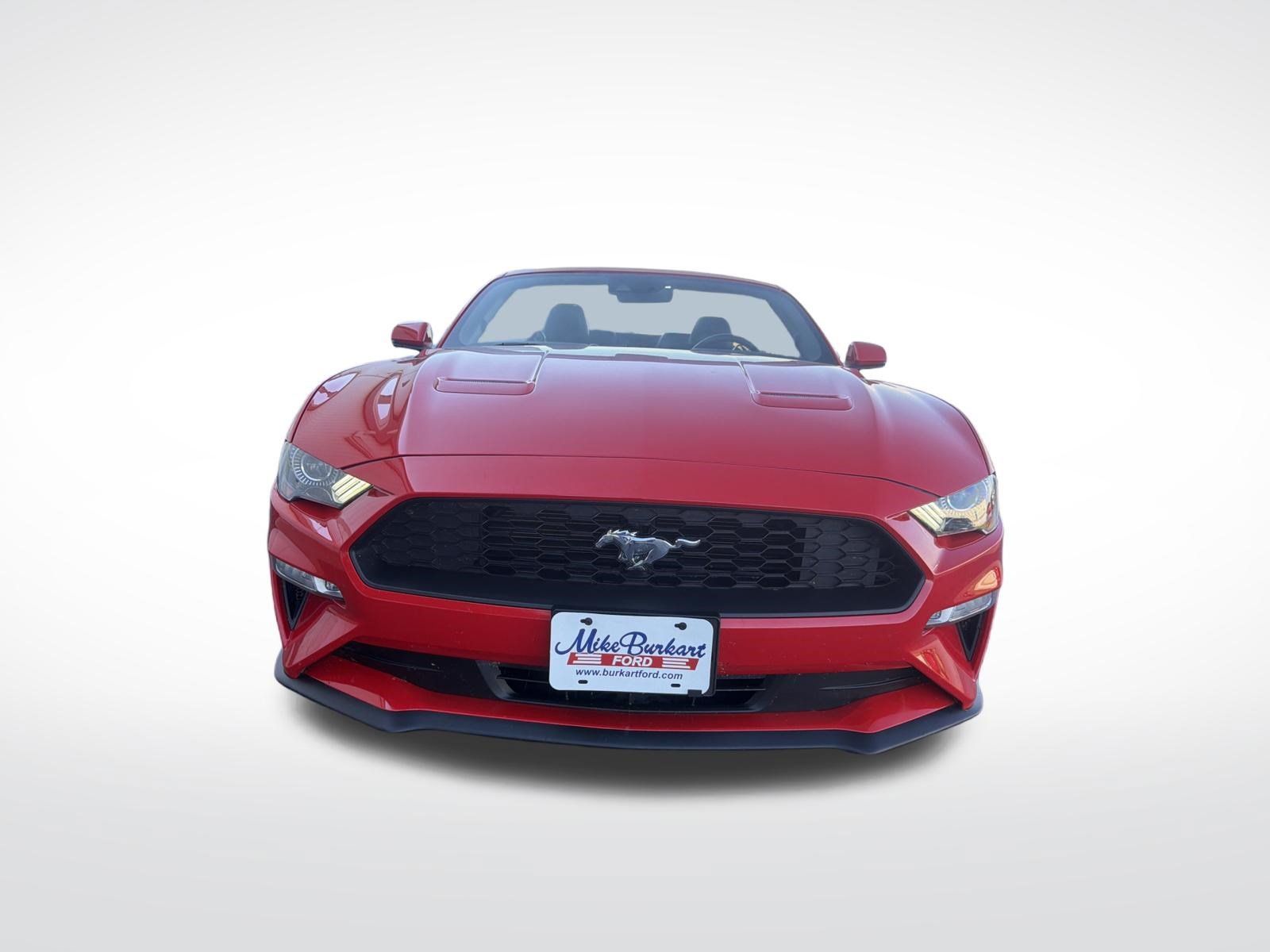 Used 2019 Ford Mustang Premium w/ Equipment Group 201A RWD image 59