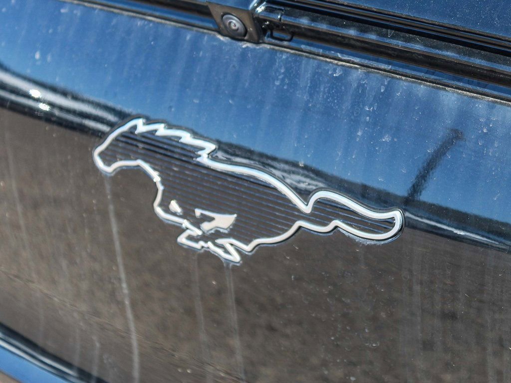 New 2024 Ford Mustang Mach-E Premium RWD image 5