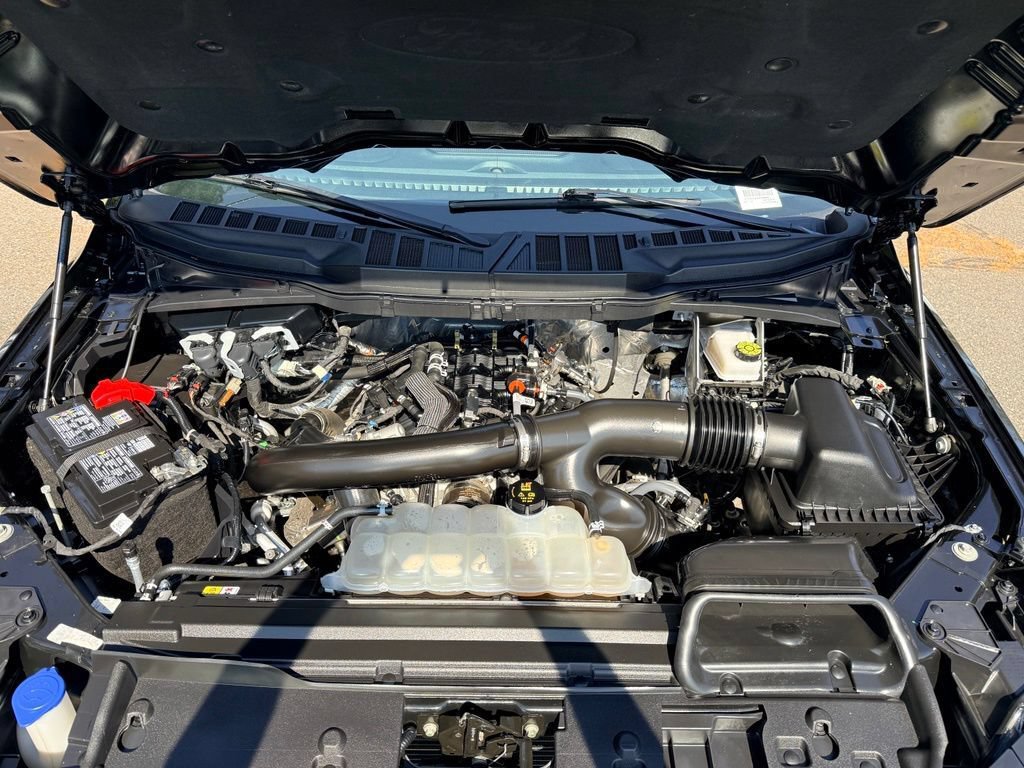 Certified 2025 Ford F150 XLT w/ Equipment Group 301A Standard AWD/4WD image 32