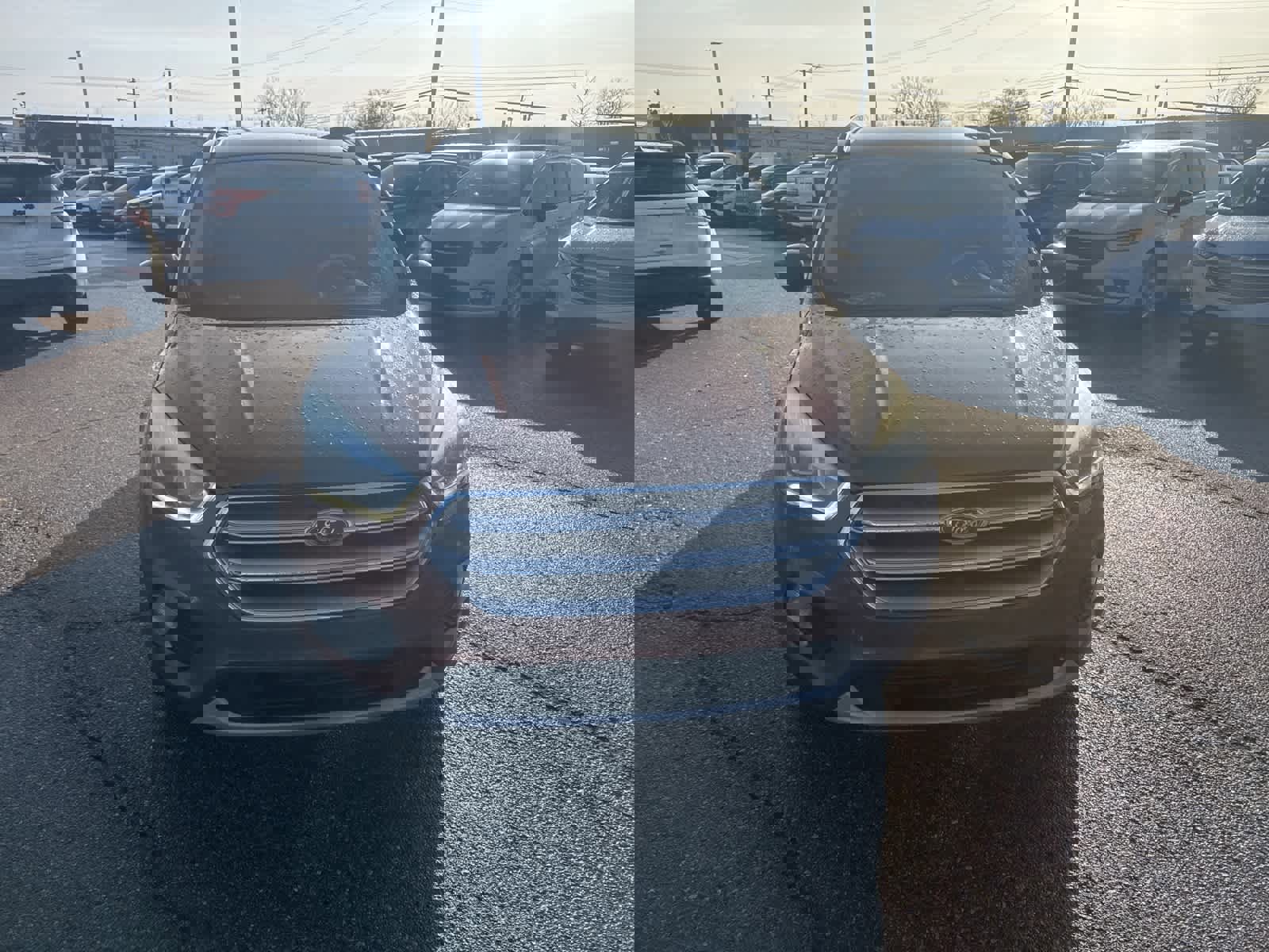 Used 2017 Ford Escape SE w/ Equipment Group 201A image 5