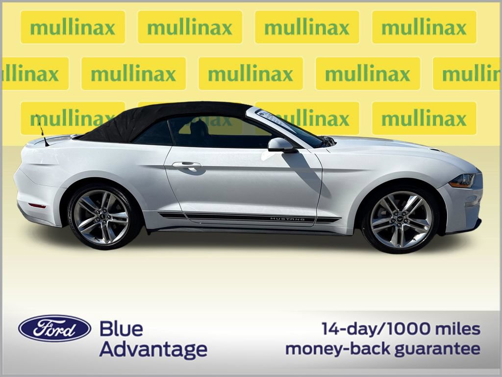 Certified 2019 Ford Mustang Premium w/ Equipment Group 201A RWD video 2