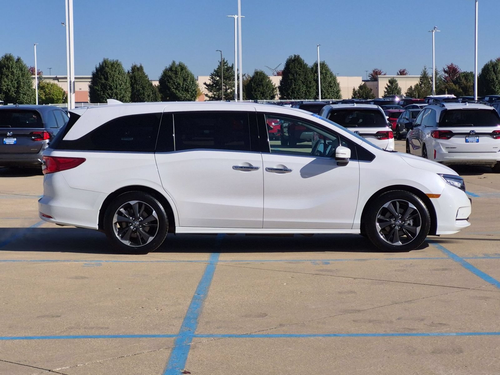 Certified 2024 Honda Odyssey Elite image 5