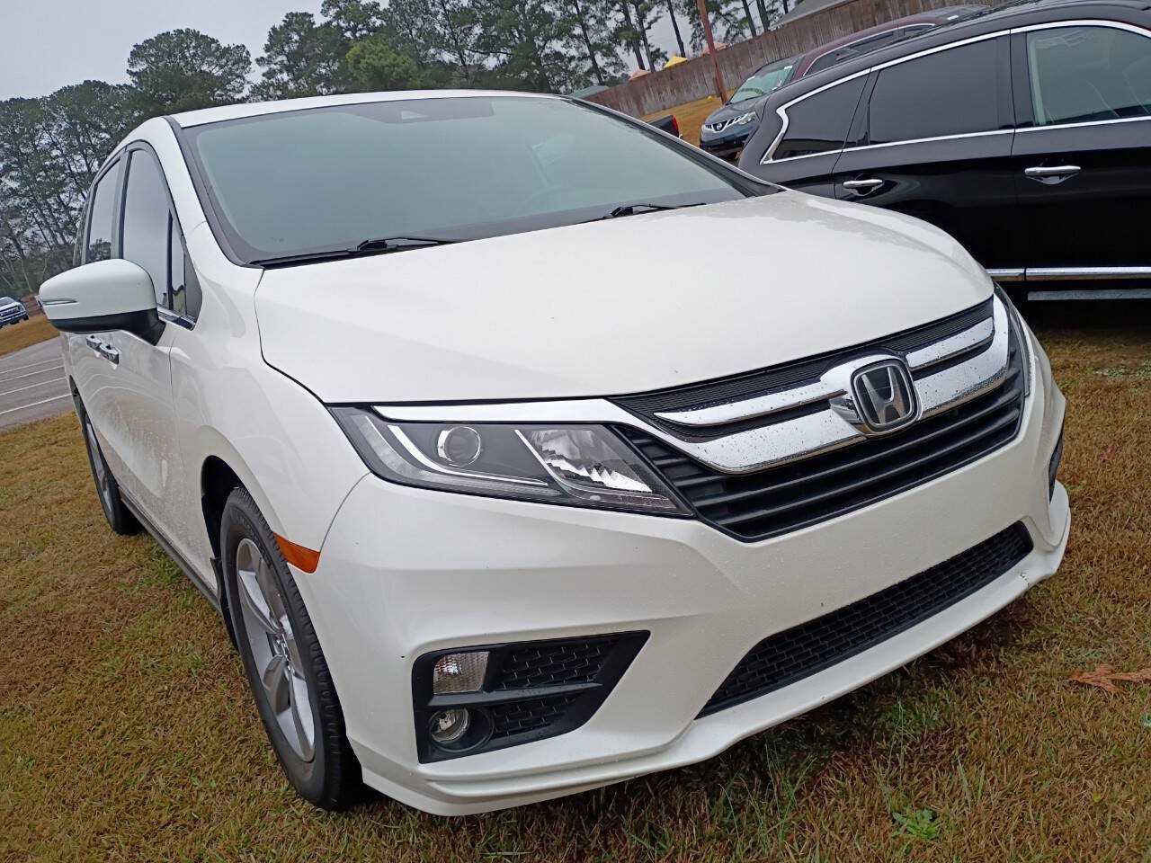 Used 2019 Honda Odyssey EX-L image 3
